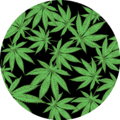 Cannabis Marijuana Leafs - Seamless Pattern Sticker