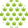 Cannabis Plant Seamless Pattern Sticker