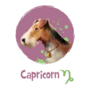 Capricorn. 2018 Year Of Dog Element Sticker 