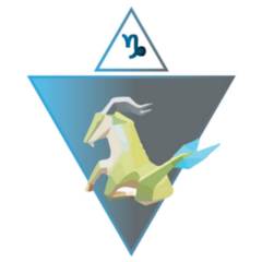 Capricorn Horoscope Sign Triangle Sticker
