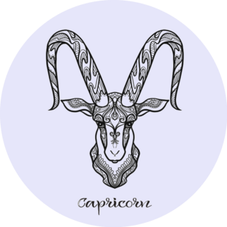 Capricorn Zodiac Sign Astrological Horoscope Outline Sticker 