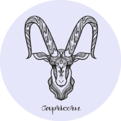 Capricorn Zodiac Sign Astrological Horoscope Outline Sticker 