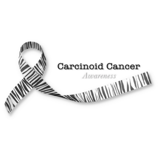 Carcinoid Cancer Awareness Ribbon Sticker