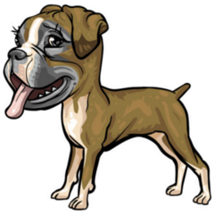 Caricature Boxer Sticker