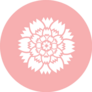 Carnation Flower Icon On Pink Sticker