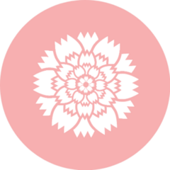 Carnation Flower Icon On Pink Sticker