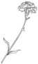Carnation Flower On A Long Stem Monochrome Sticker