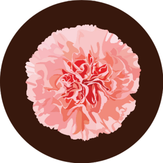 Carnation Flower On Brown Sticker