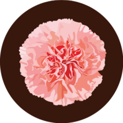 Carnation Flower On Brown Sticker
