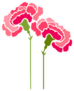 Carnation Flowers Abstract Art Sticker