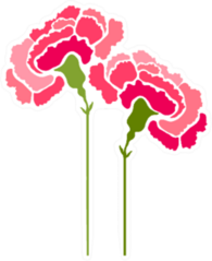 Carnation Flowers Abstract Art Sticker