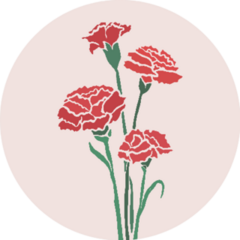 Carnation Flowers Illustration With Color Background Sticker