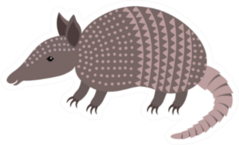 Cartoon Armadillo Animal Smiling Sticker