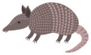 Cartoon Armadillo Animal Smiling Sticker
