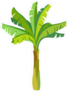 Cartoon Banana Palm Tree Sticker