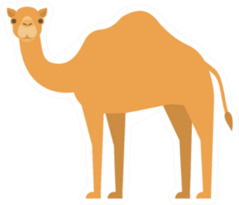 Cartoon Camel In Flat Style On White Background Sticker