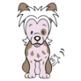 Cartoon Chinese Crested Sticker