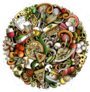 Cartoon Collage of Food Sticker