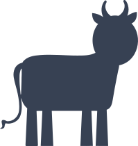 Cartoon Cow Sticker