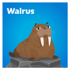 Cartoon Cute Walrus Square Sticker