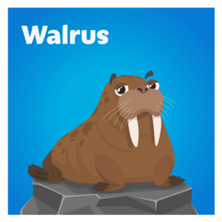 Cartoon Cute Walrus Square Sticker