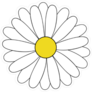 Cartoon Daisy Sticker