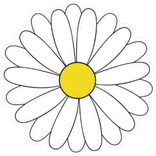 Cartoon Daisy Sticker