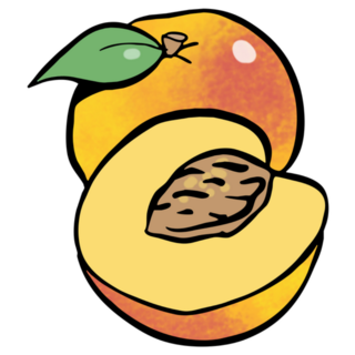Cartoon Drawing Of Sliced Georgia Peach Sticker