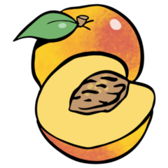 Cartoon Drawing Of Sliced Georgia Peach Sticker