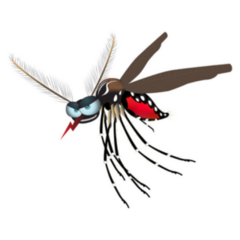 Cartoon Mosquito Sticker