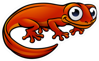 Cartoon Newt Salamander Sticker