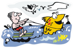 Cartoon Of Man Water Skiing With Large Fish Sticker