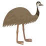 Cartoon Ostrich Emu Sticker