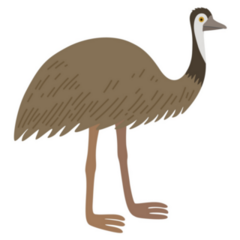 Cartoon Ostrich Emu Sticker