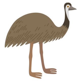 Cartoon Ostrich Emu Sticker