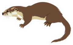 Cartoon Otter Sticker