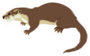 Cartoon Otter Sticker