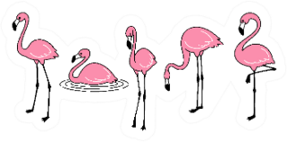Cartoon Pink Flamingo Set Sticker