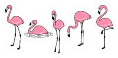 Cartoon Pink Flamingo Set Sticker