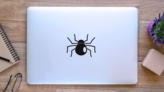 Cartoon Round Spider Sticker on a Laptop (New) example