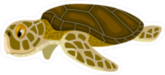 Cartoon Sea Turtle Sticker