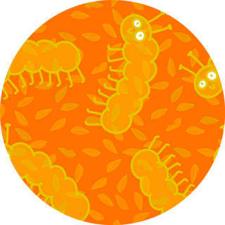 Cartoon Summer Orange Caterpillars Sticker