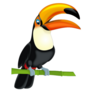 Cartoon Toucan Singing Sticker