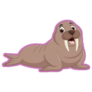 Cartoon Walrus On Pink Sticker