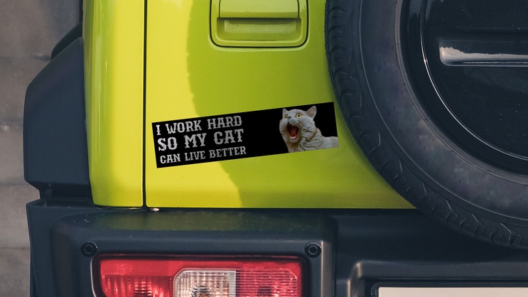Cat bumper sticker applied to back of Jeep