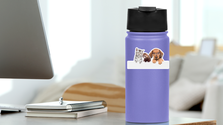 Cat, Dog And Ferret Over White Banner Sticker on a Water Bottle (New) example