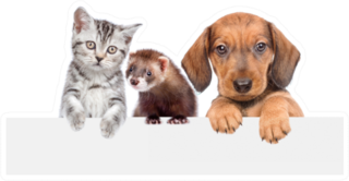 Cat, Dog And Ferret Over White Banner Sticker