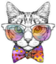 Cat In Glasses With Dotted Bow Tie Sticker