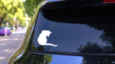 Cat Looking Down Sticker on a Rear Car Window (New) example