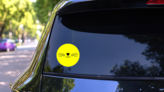 Cat Nose Isolated Sticker  on a Rear Car Window (New) example